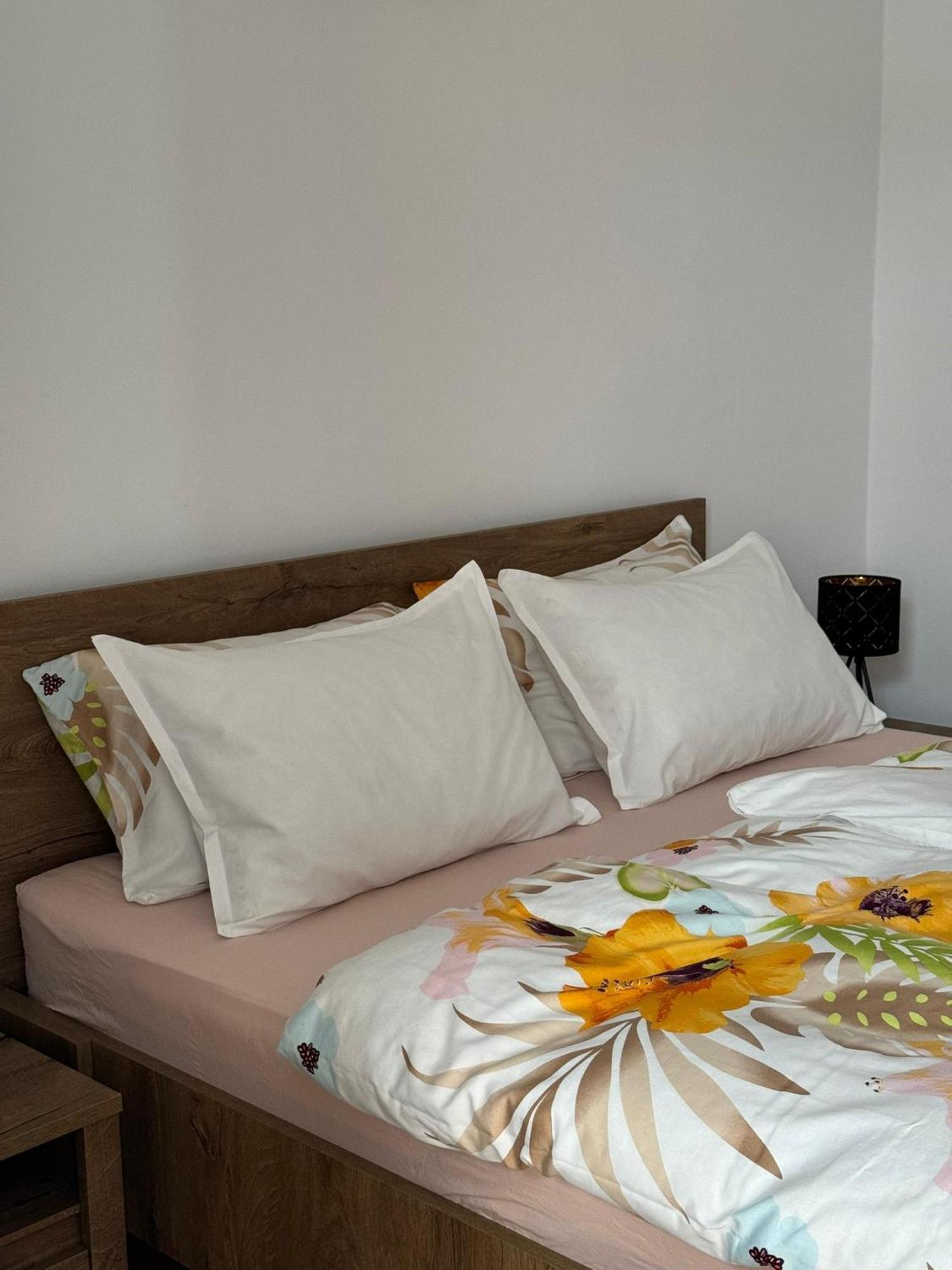 Apartament Victoria Timişoara Eksteriør billede